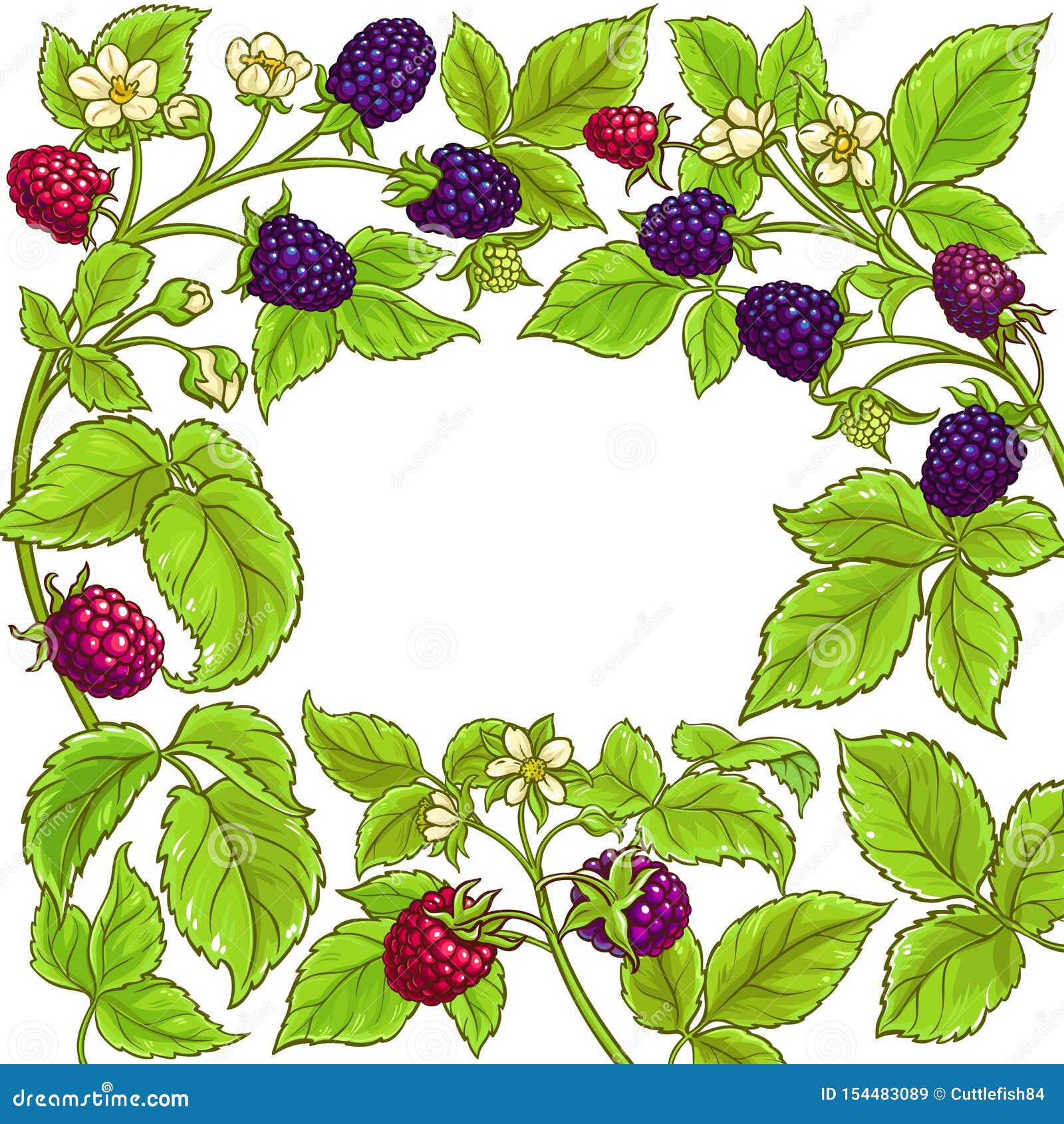 Boysenberry, Vector Drawing Sketch Of Berry 237121938
