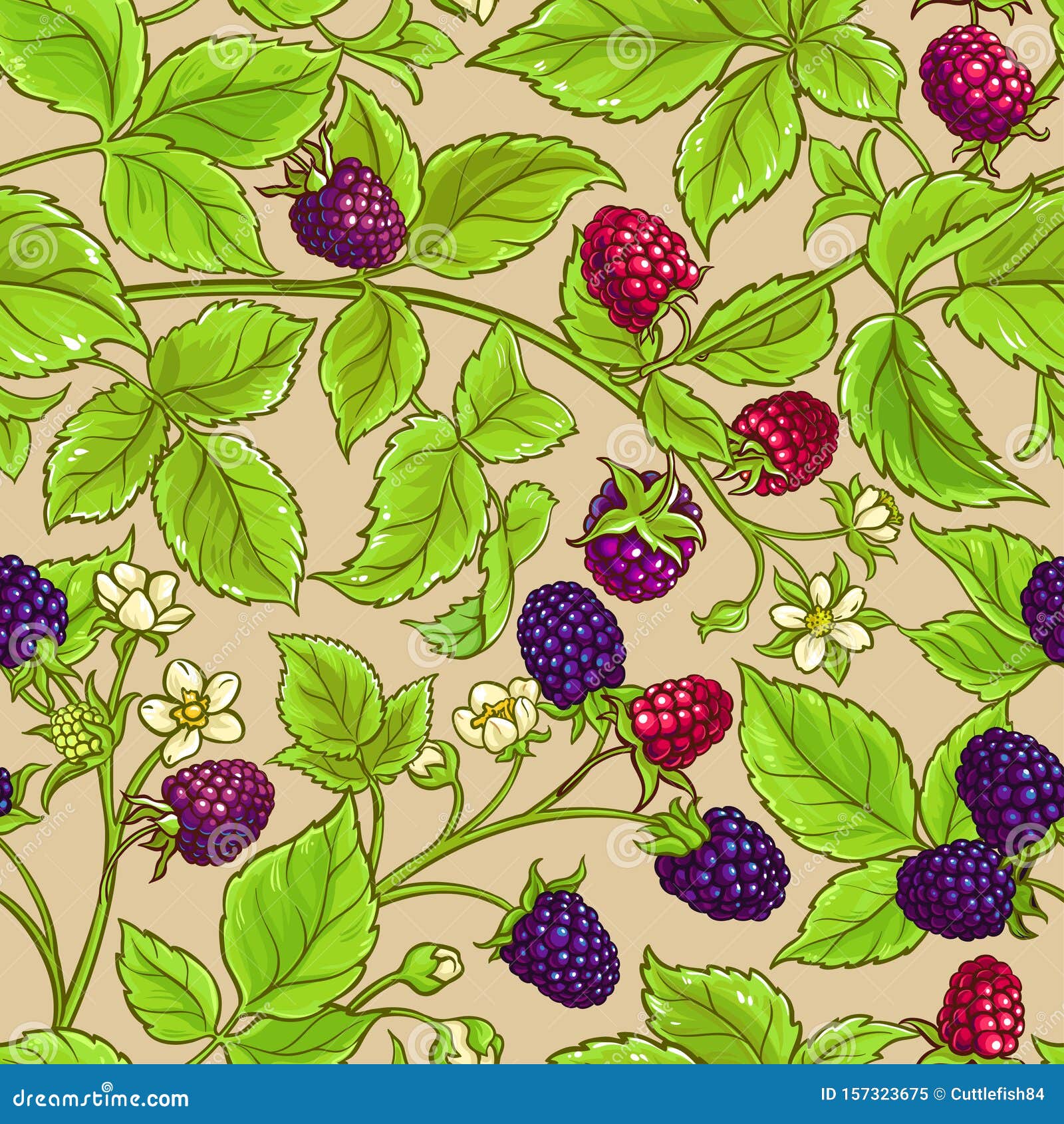Boysenberry, Vector Drawing Sketch Of Berry 237121938