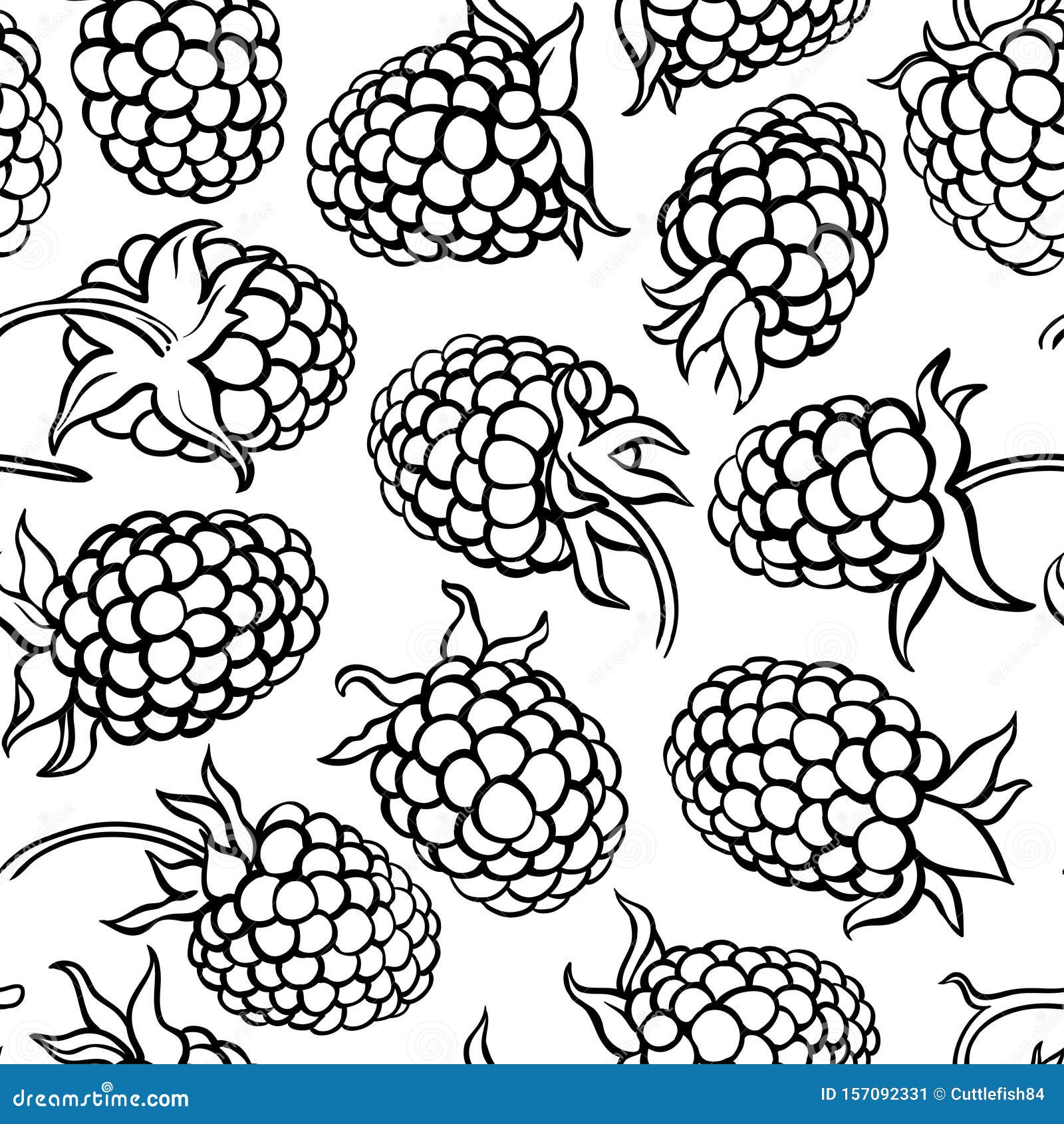 Boysenberry, Vector Drawing Sketch Of Berry 237121938