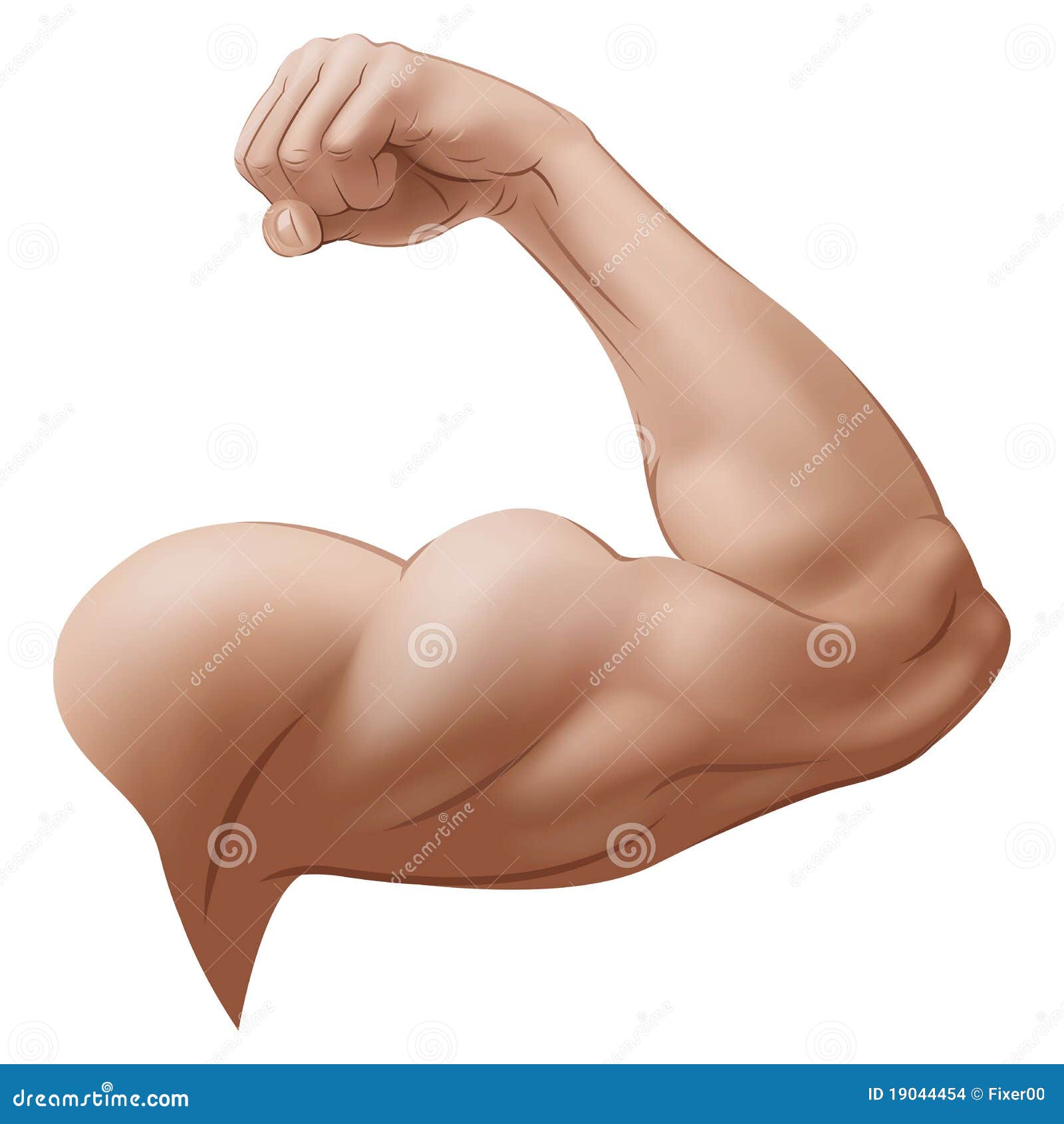 Braço Ilustrações, Vetores E Clipart De Stock – (678,269 Stock  Illustrations), image size:1600x1690