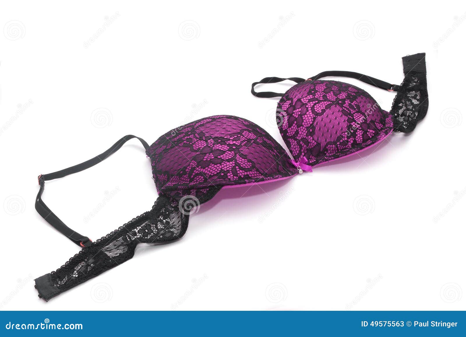 Bra Isolated on a White Background Stock Image - Image of clothing ...