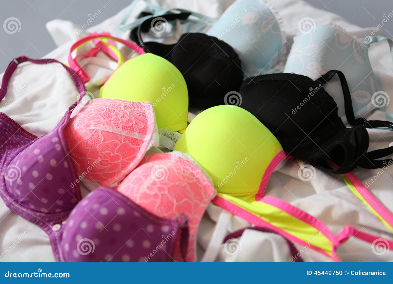 Bra in line stock photo. Image of dots, line, cloth, purple - 45449750