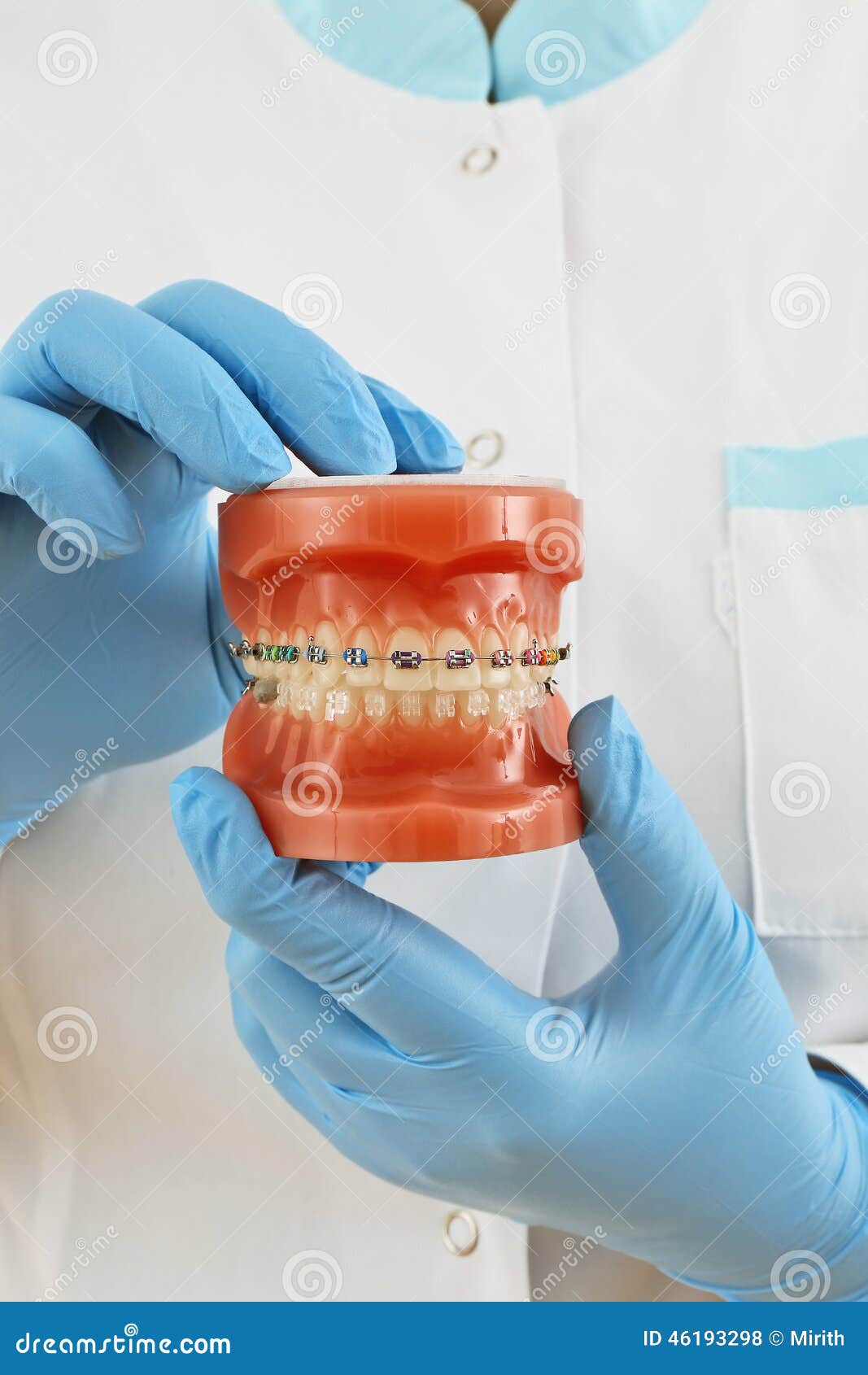 Braces model stock photo. Image of dental, mouth, teaching 46193298