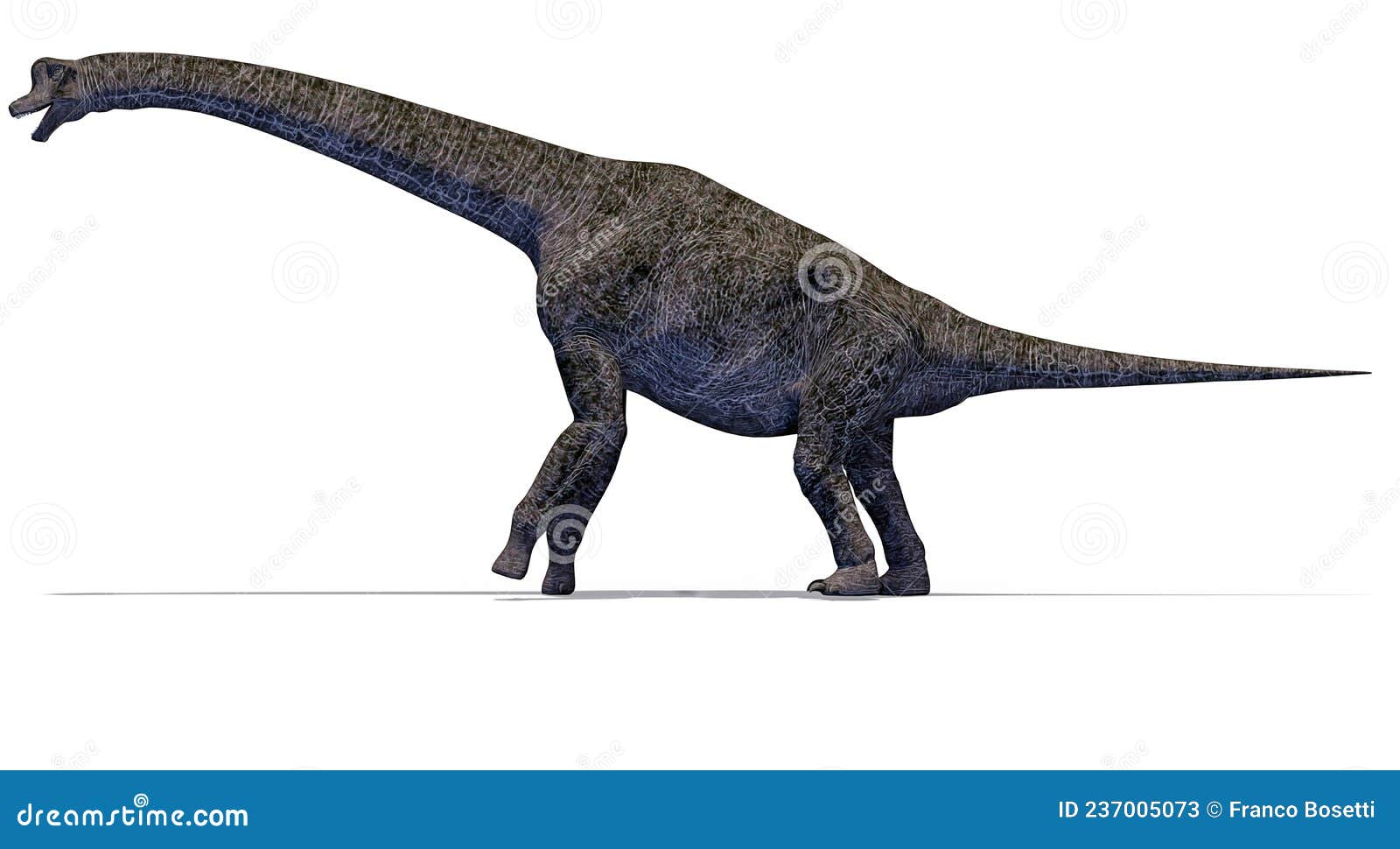 brachiosaurus herbivorous dinosaur side