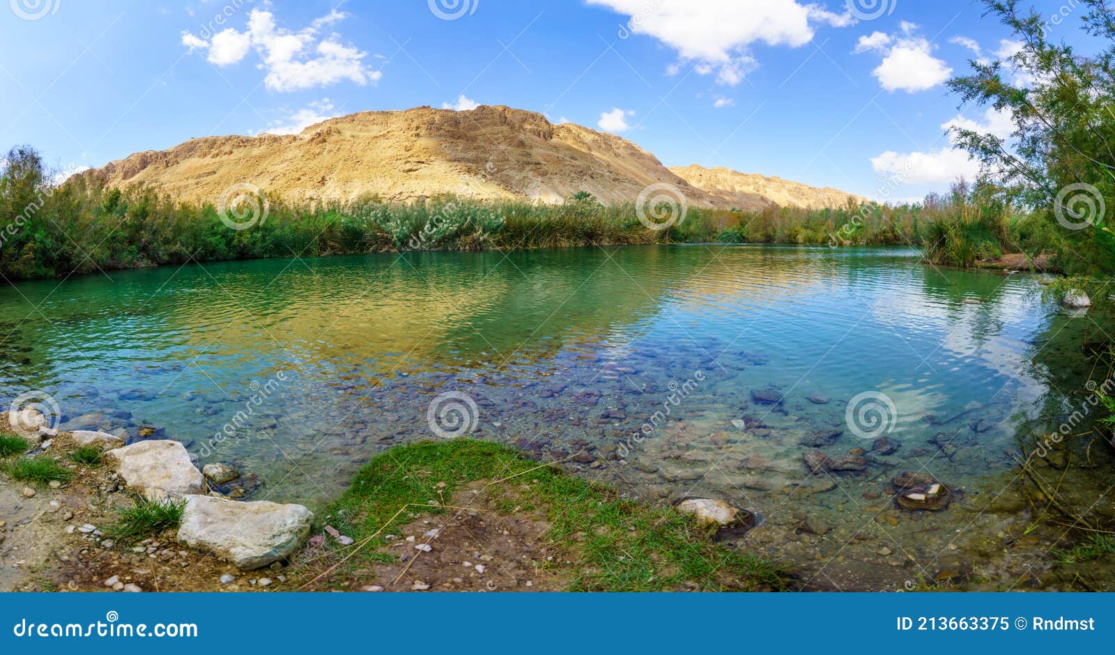 brackish water pool, in einot tzukim ein feshkha nature reserve
