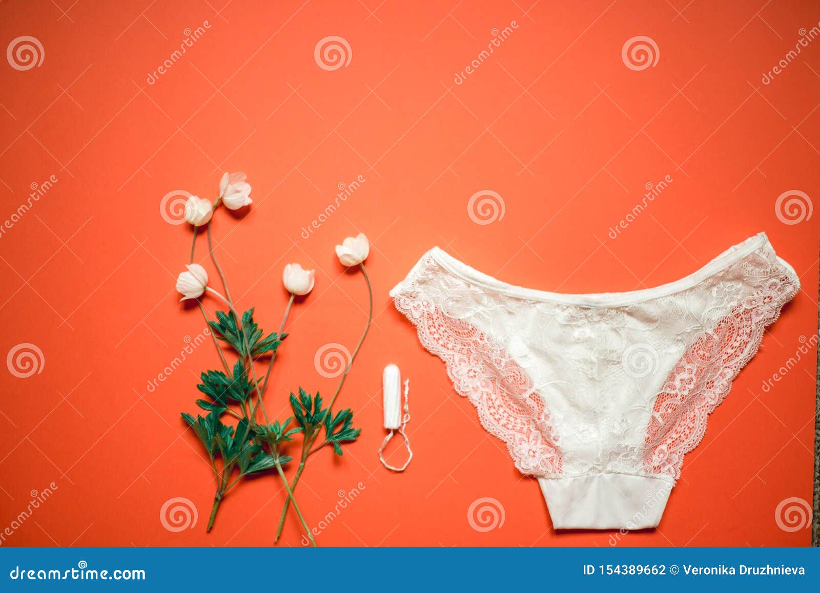 Bragas Blancas Del Cordón Con El En Un Fondo Coralino Ropa Interior Femenina Para La Novia Con Las Flores Delicadas En Un F Foto de archivo - Imagen de sujetador, encanto: