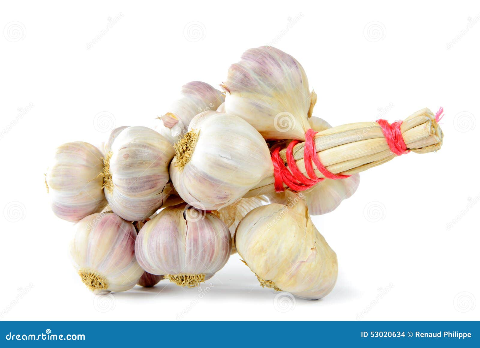 556 Braided Garlic Stock Photos - Free & Royalty-Free Stock Photos from