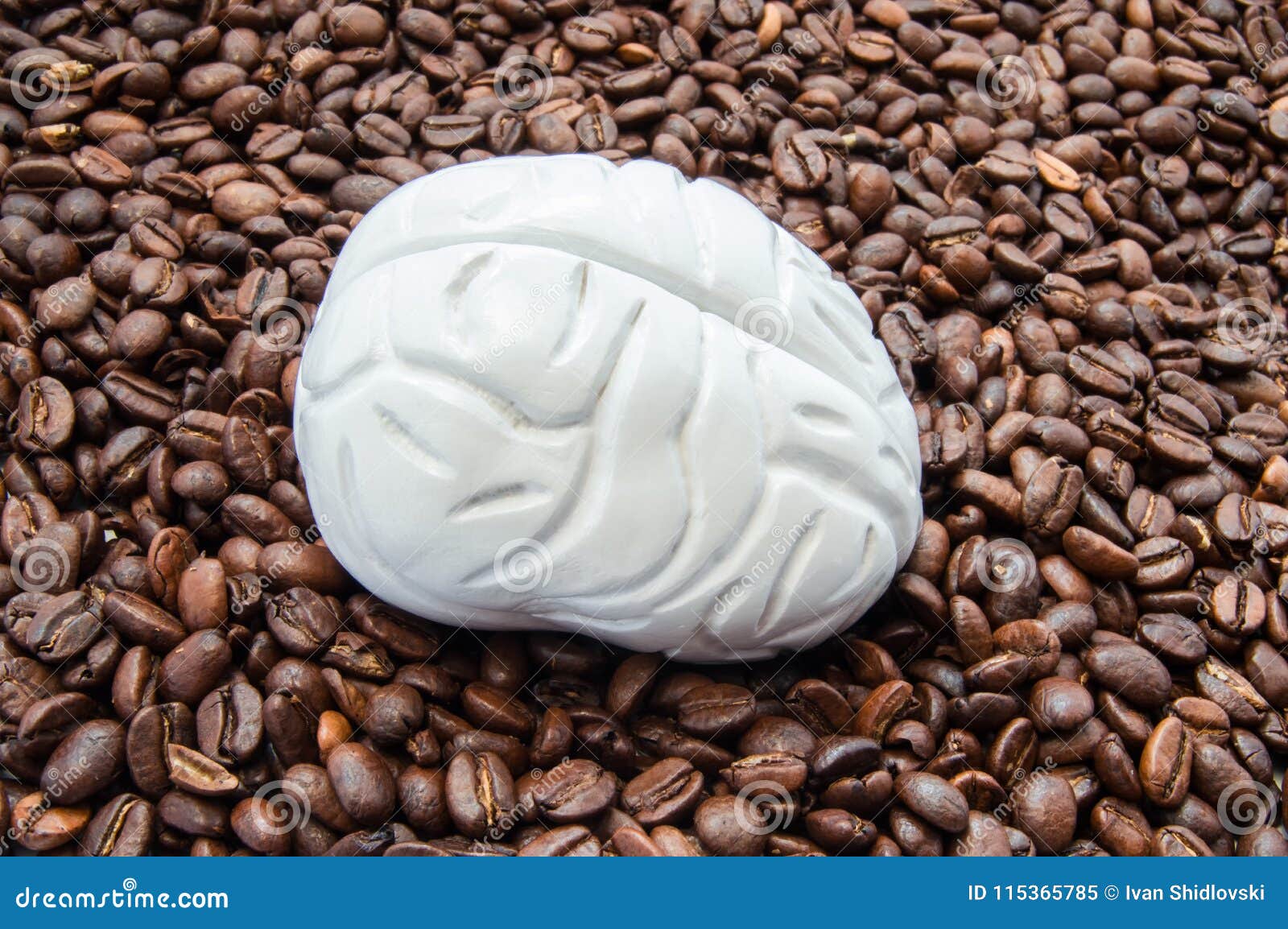 brain and coffee caffeine. brain model is among coffee beans. influence of coffee on the brain, nerve cells neurons, their fun