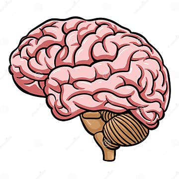 Brain. Comics Drawing stock vector. Illustration of drawing - 198659818