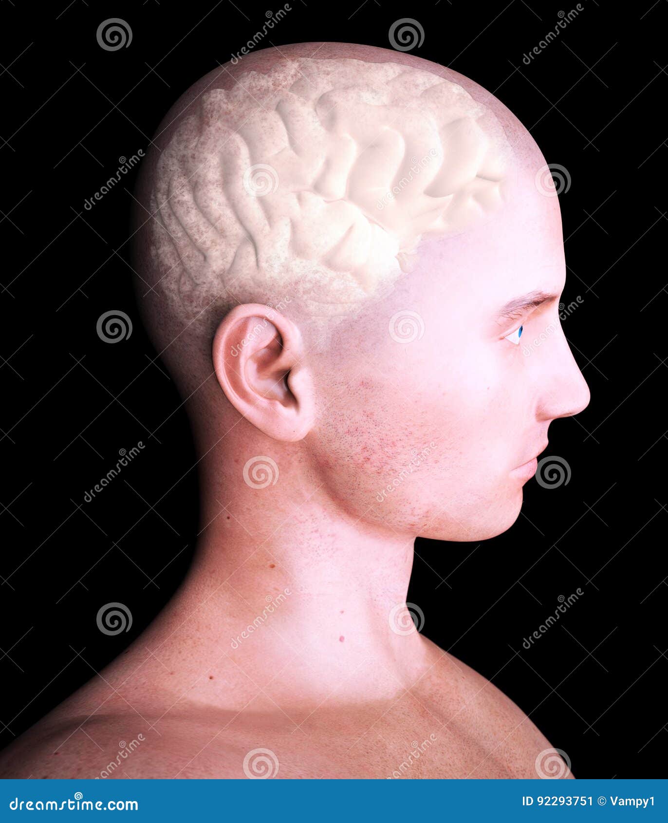 brain, degenerative diseases, parkinson`s, human body, face