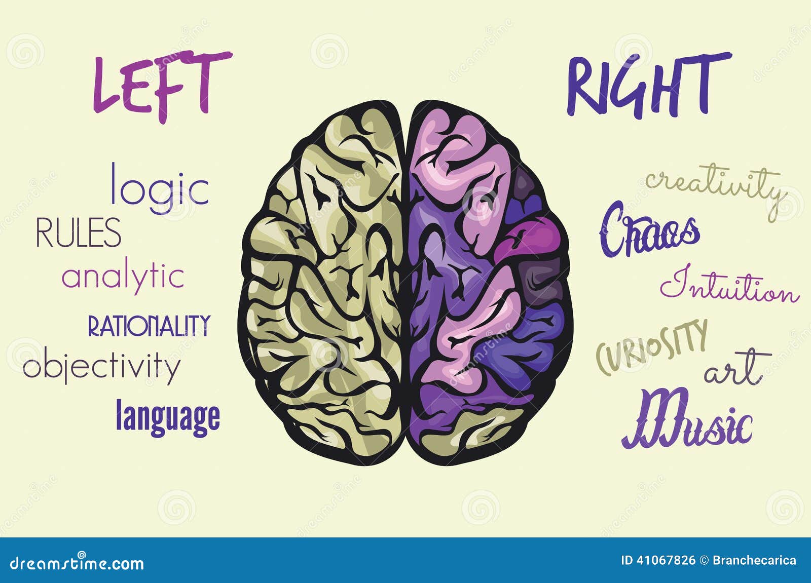 brain function