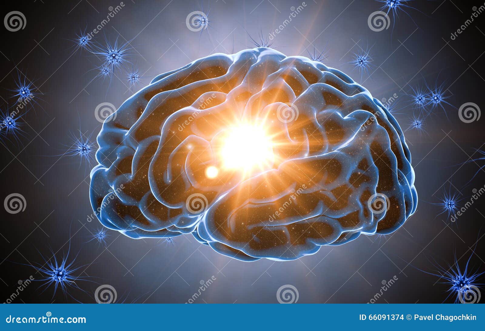 Brain Impulses. Neuron System. Human Anatomy. Transferring Pulses And