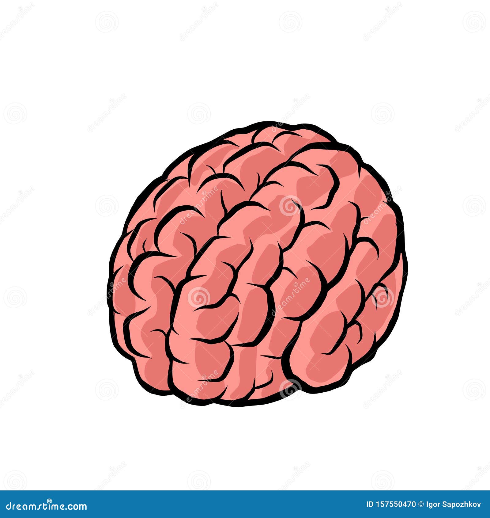 Brain. the Intelligence of the Human Mind Stock Vector - Illustration of medicine, line: 157550470 Brain. the Intelligence of the Human Mind Stock Vector - Illustration of medicine, line: 157550470