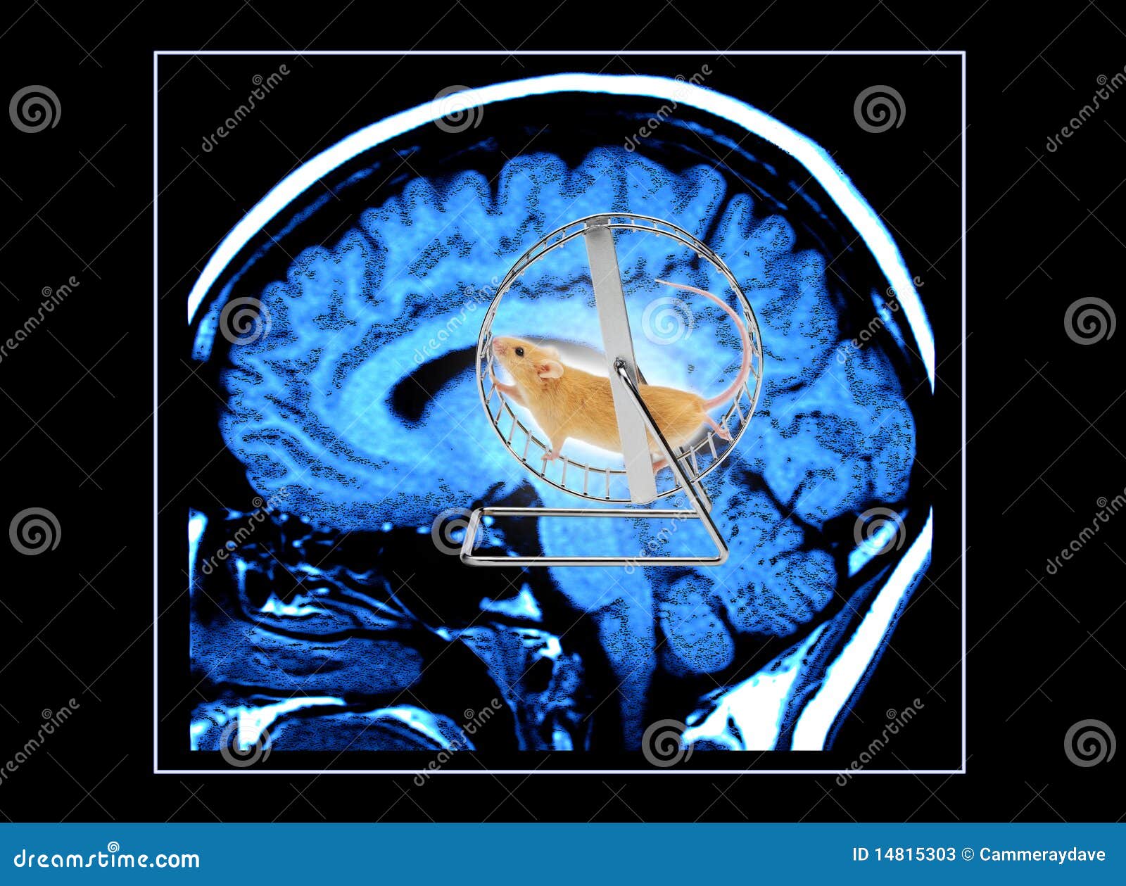 brain gym exercises for autism brain gym exercises for autism