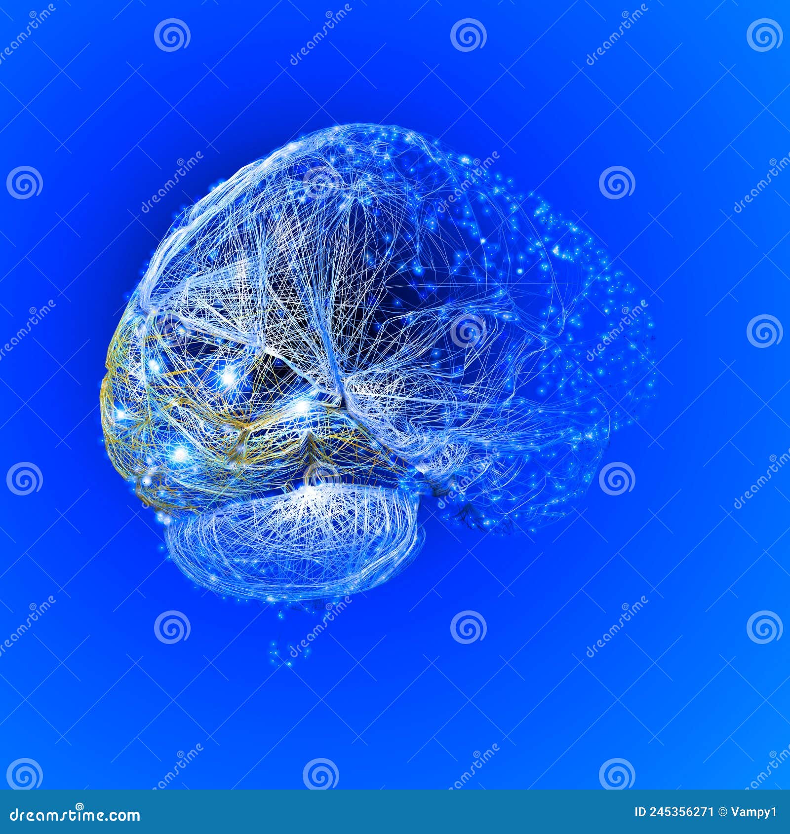 Occipital Lobe Of Human Brain Illustration With Gear Icon Royalty Biology Diagrams