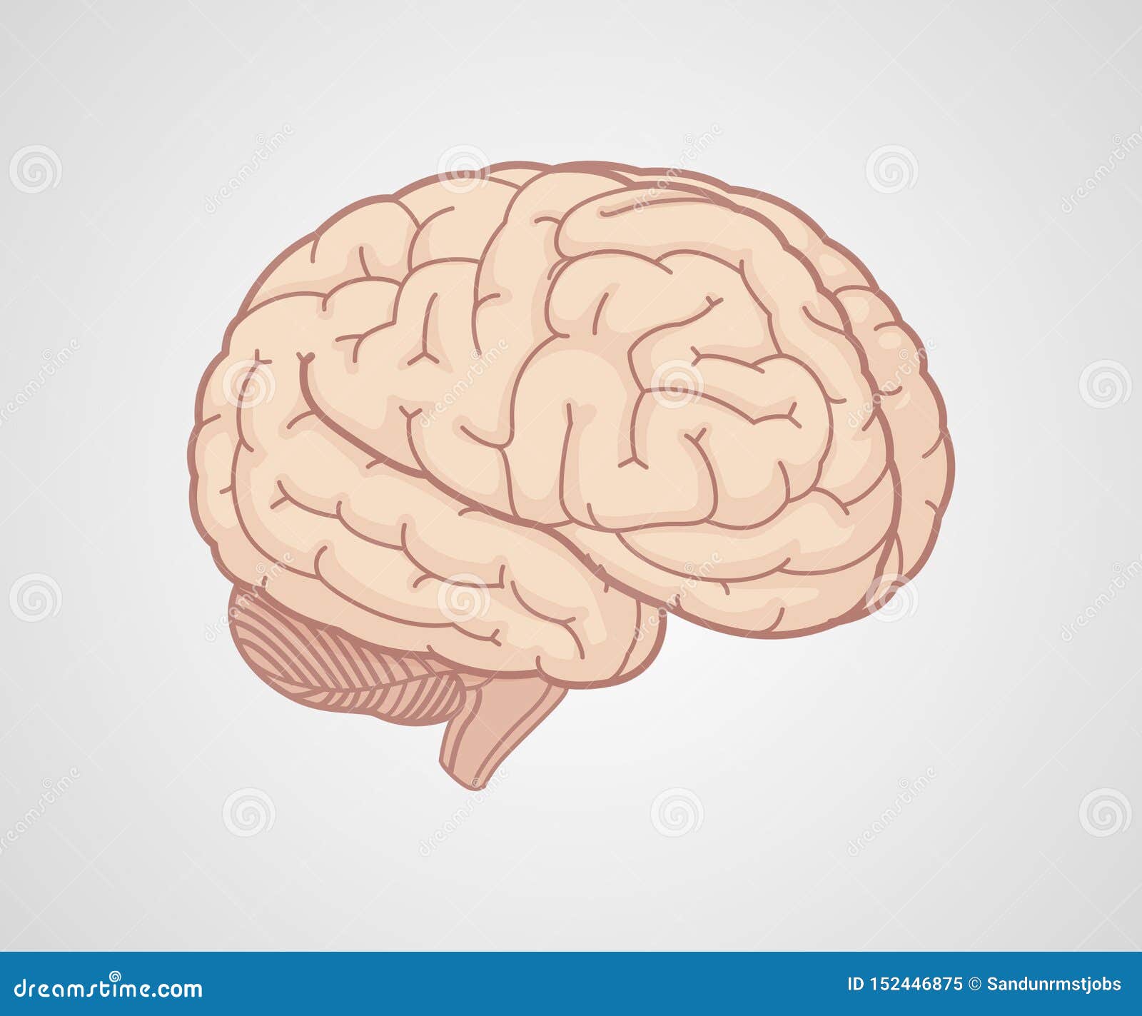 brain logo  