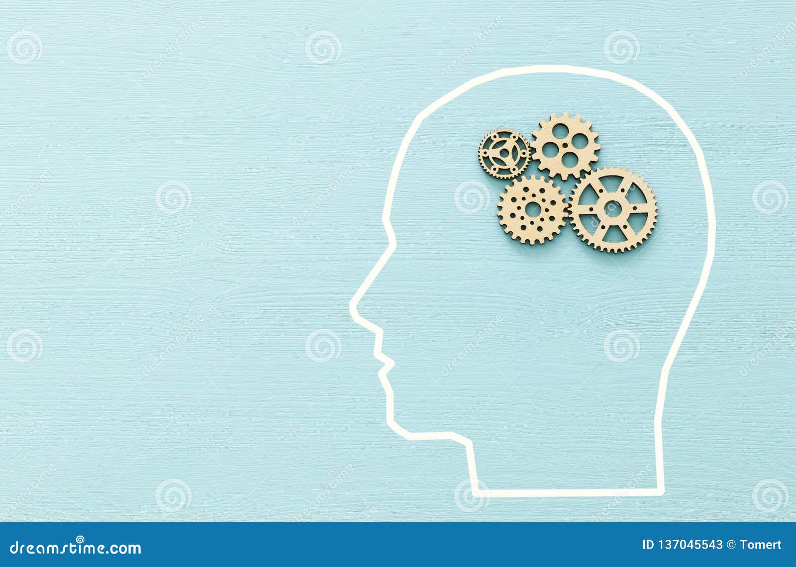 brain order made from wooden cogwheels into human head. concept of thinking, workflow, adhd and learning.