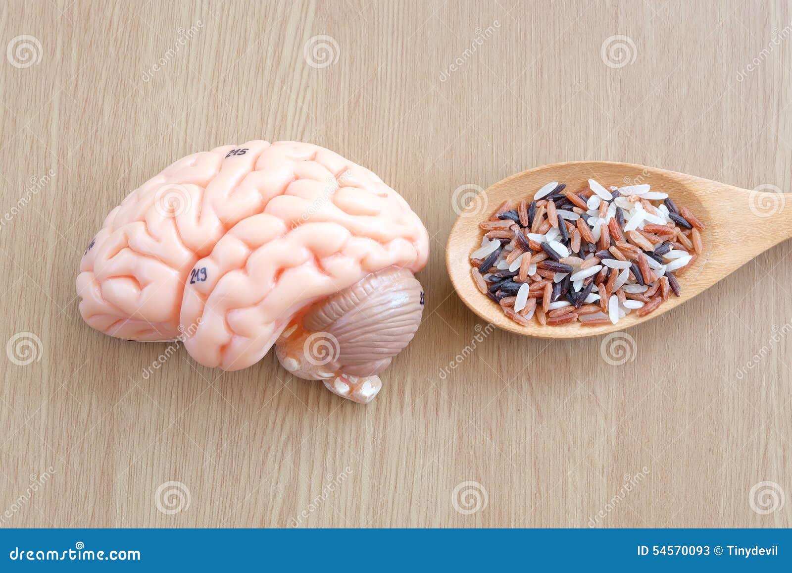 Brain and rice stock image. Image of grain, bowl, oriental 54570093