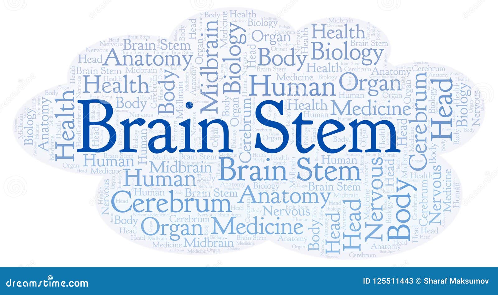 brain shaped word cloud generator brain shaped word cloud generator