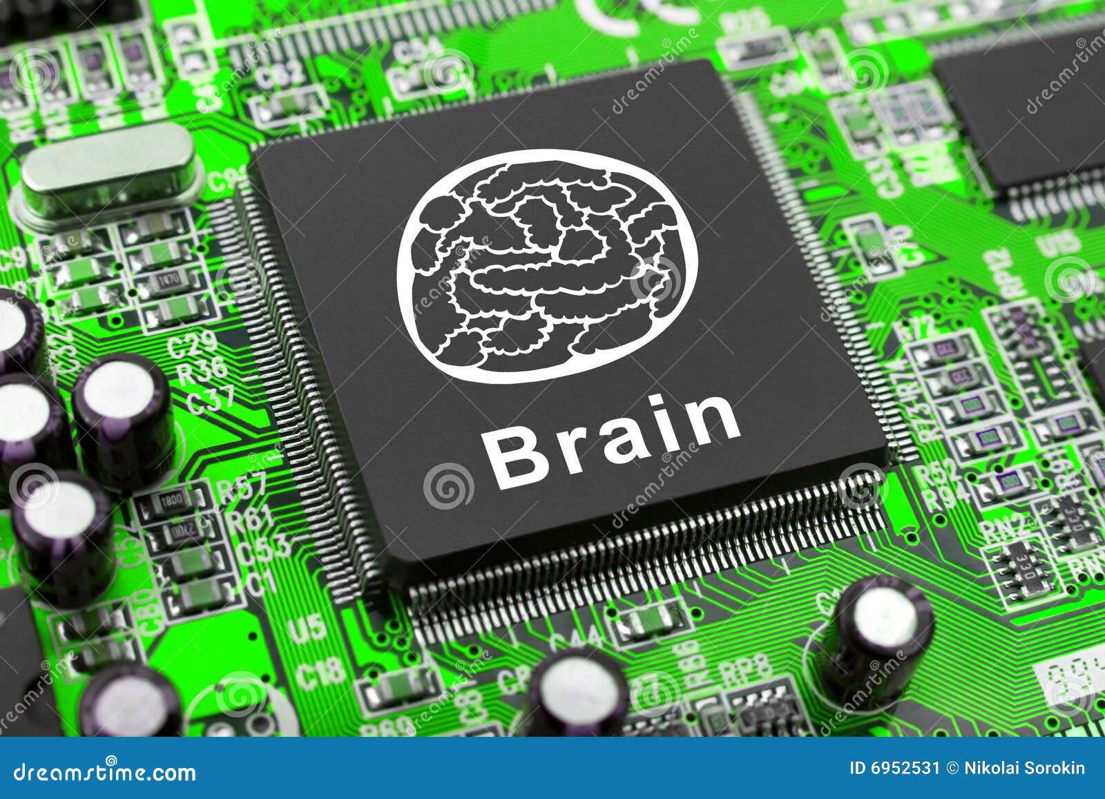 brain  on computer chip