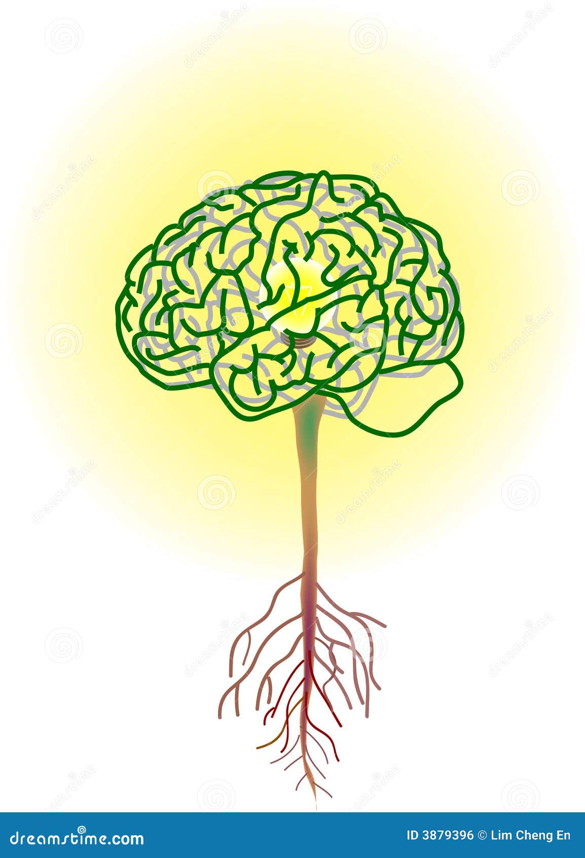 Brain Tree Royalty Free Stock Image - Image: 38793961028 x 1300