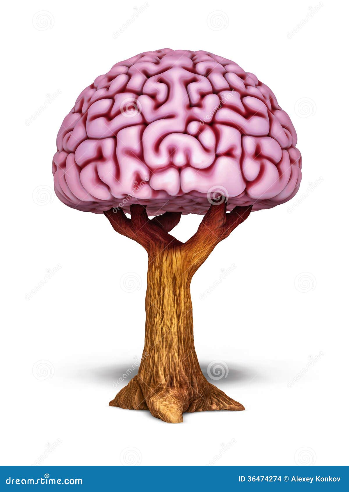 Brain Tree Illustration Stock Images - Image: 36474274