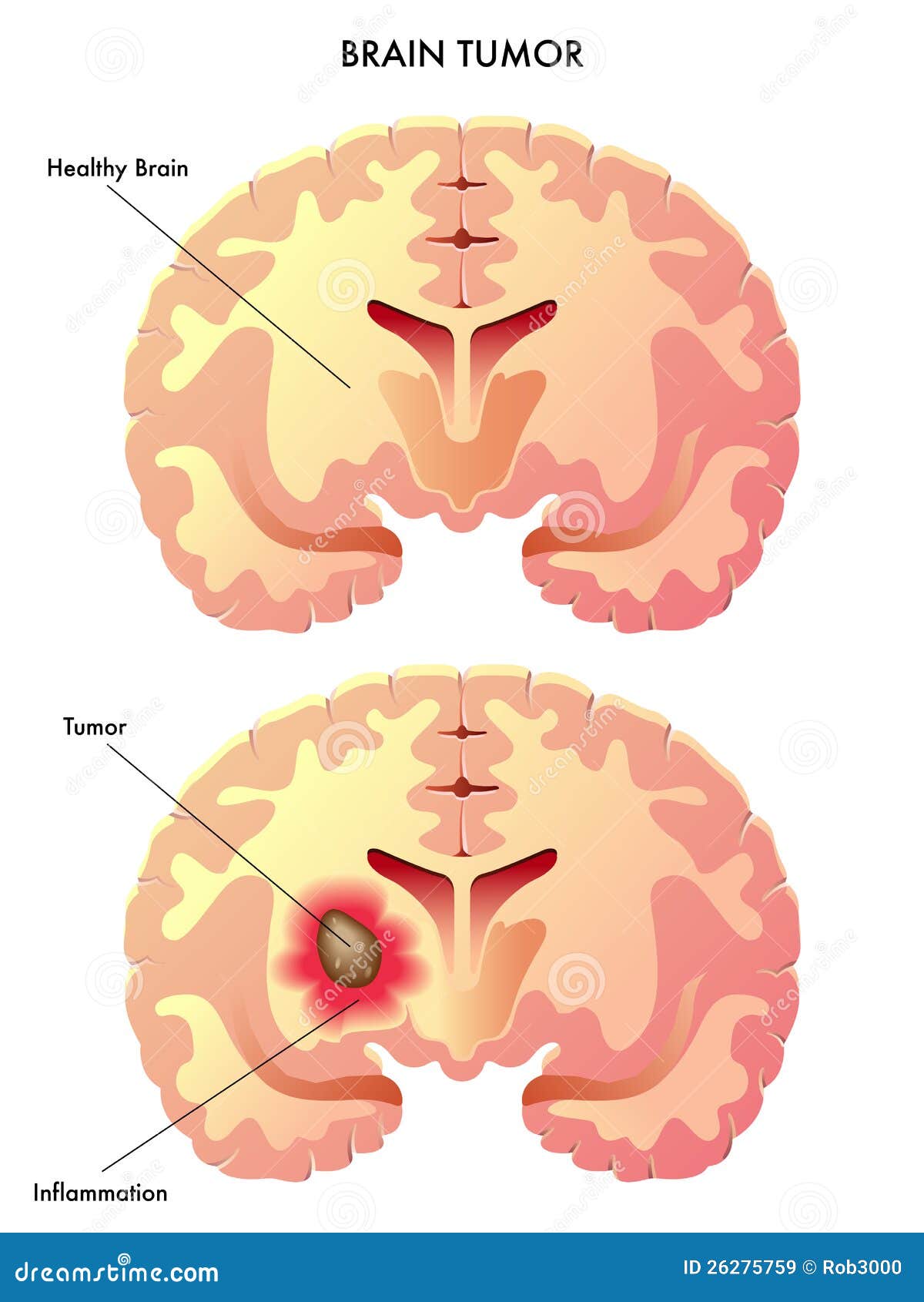 molecular and cell biology of neuropsychiatric