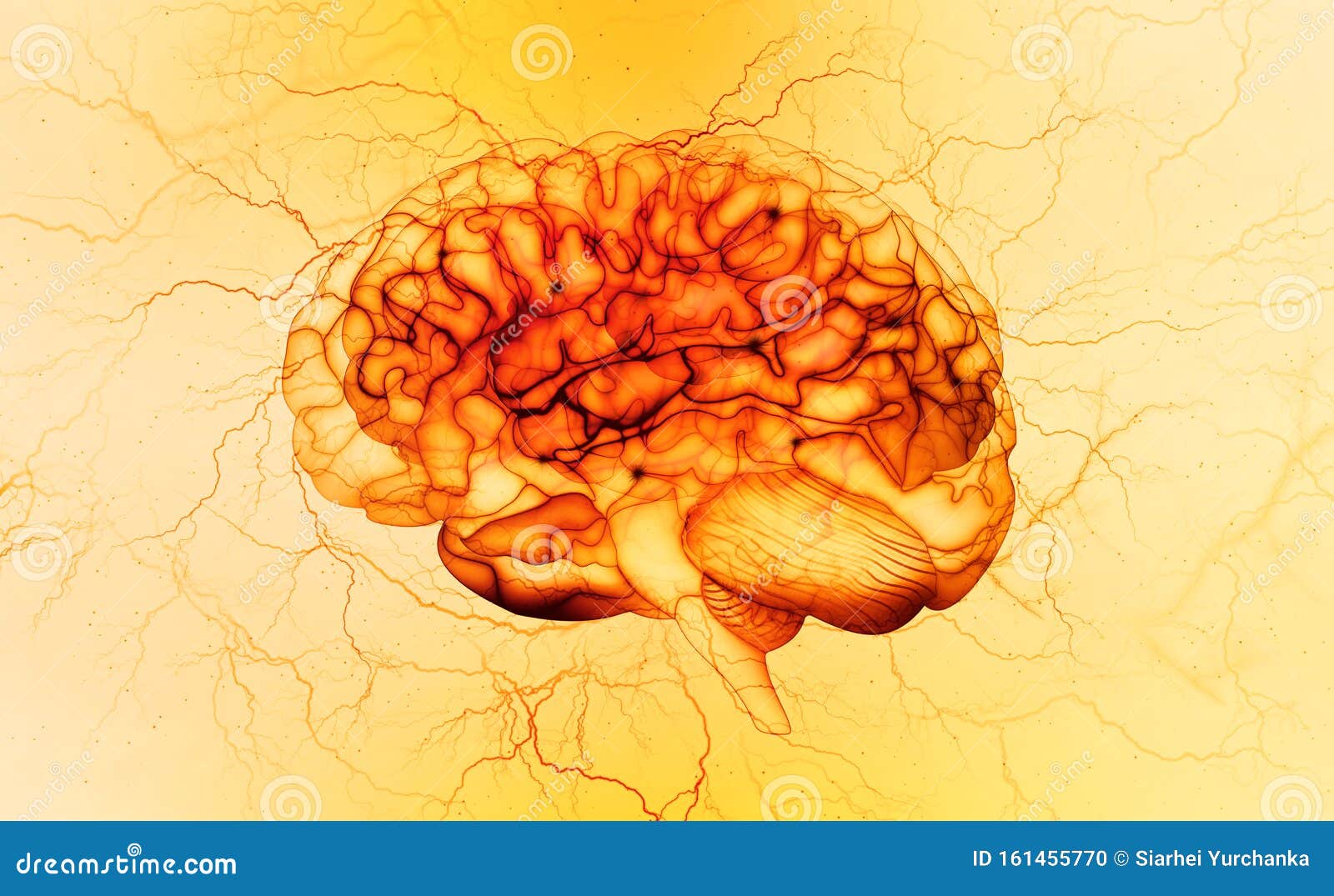 brain x-ray, electrical impulse, brainstorming. mind and intelligence of a person