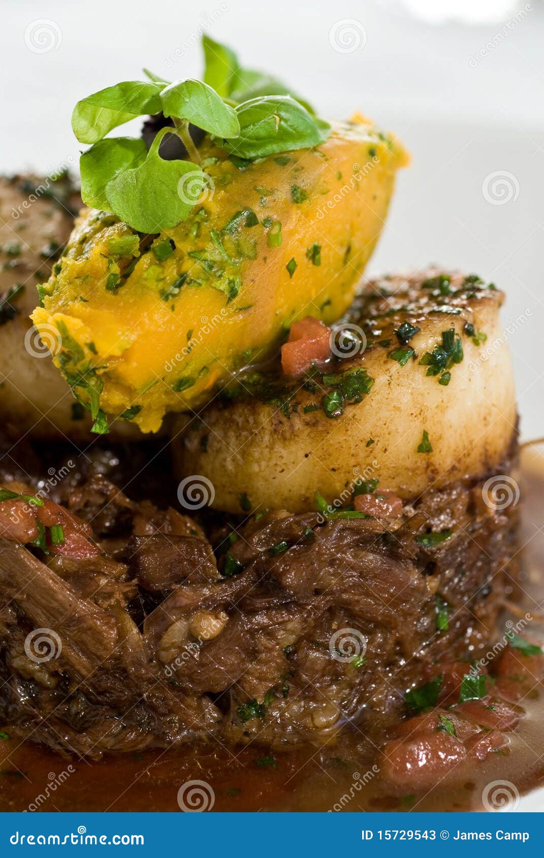 Braised oxtail stew stock image. Image of scallop, brown - 15729543
