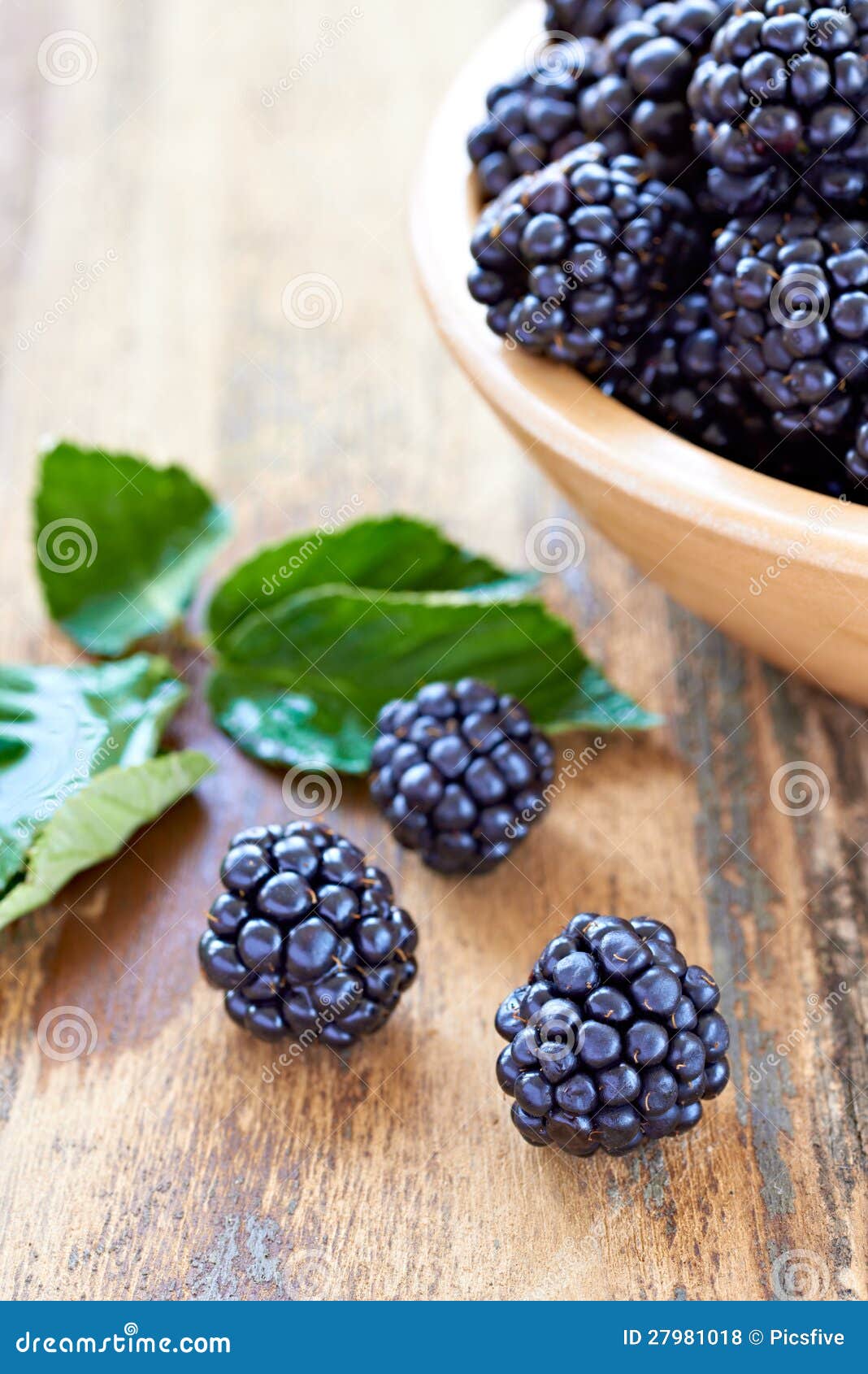 Bramble stock photo. Image of healthy, black, green, ingredient 27981018
