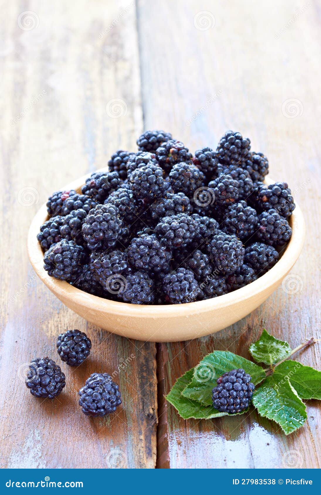 Bramble stock photo. Image of dewberry, delicious, dessert - 27983538