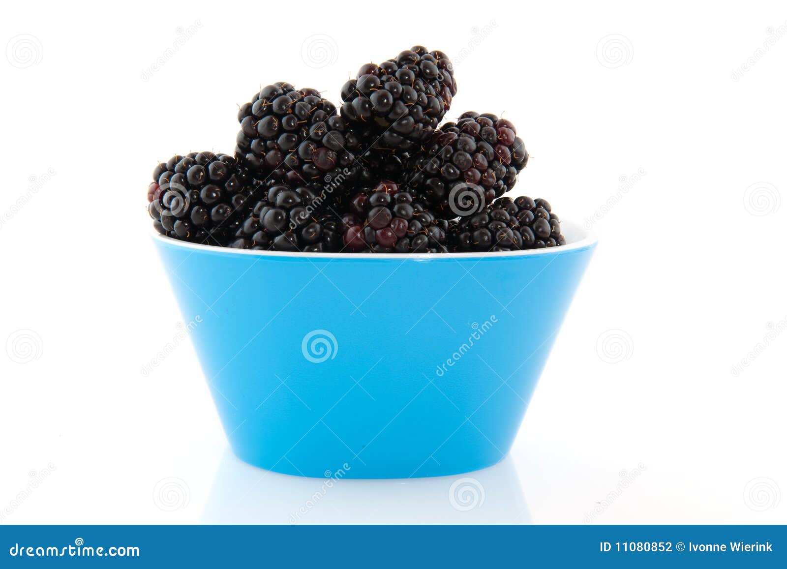 Brambles stock photo. Image of fruit, healthy, blackberries 11080852