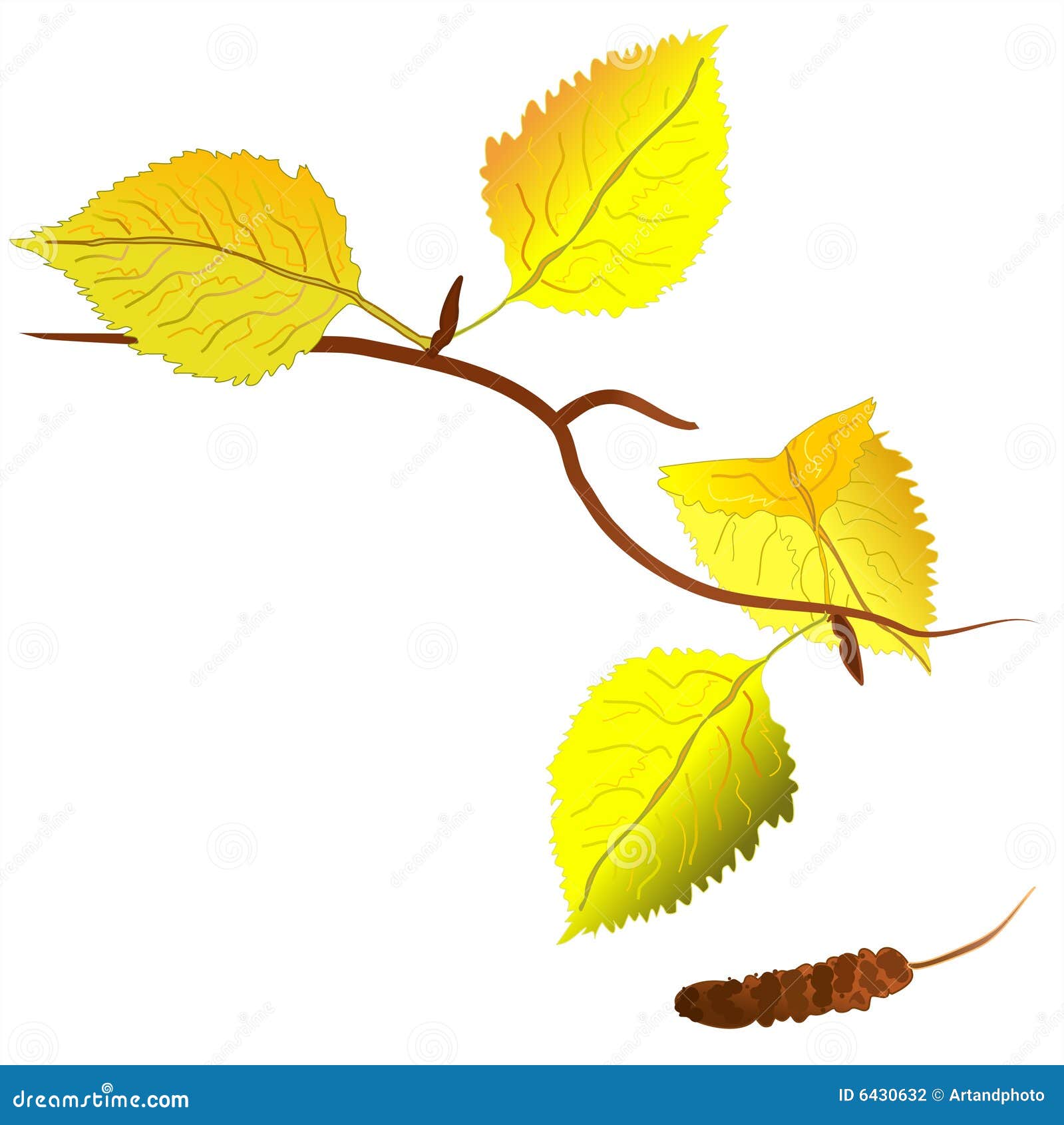 Branch of a Birch Tree, Autumn Stock Vector Illustration of fall