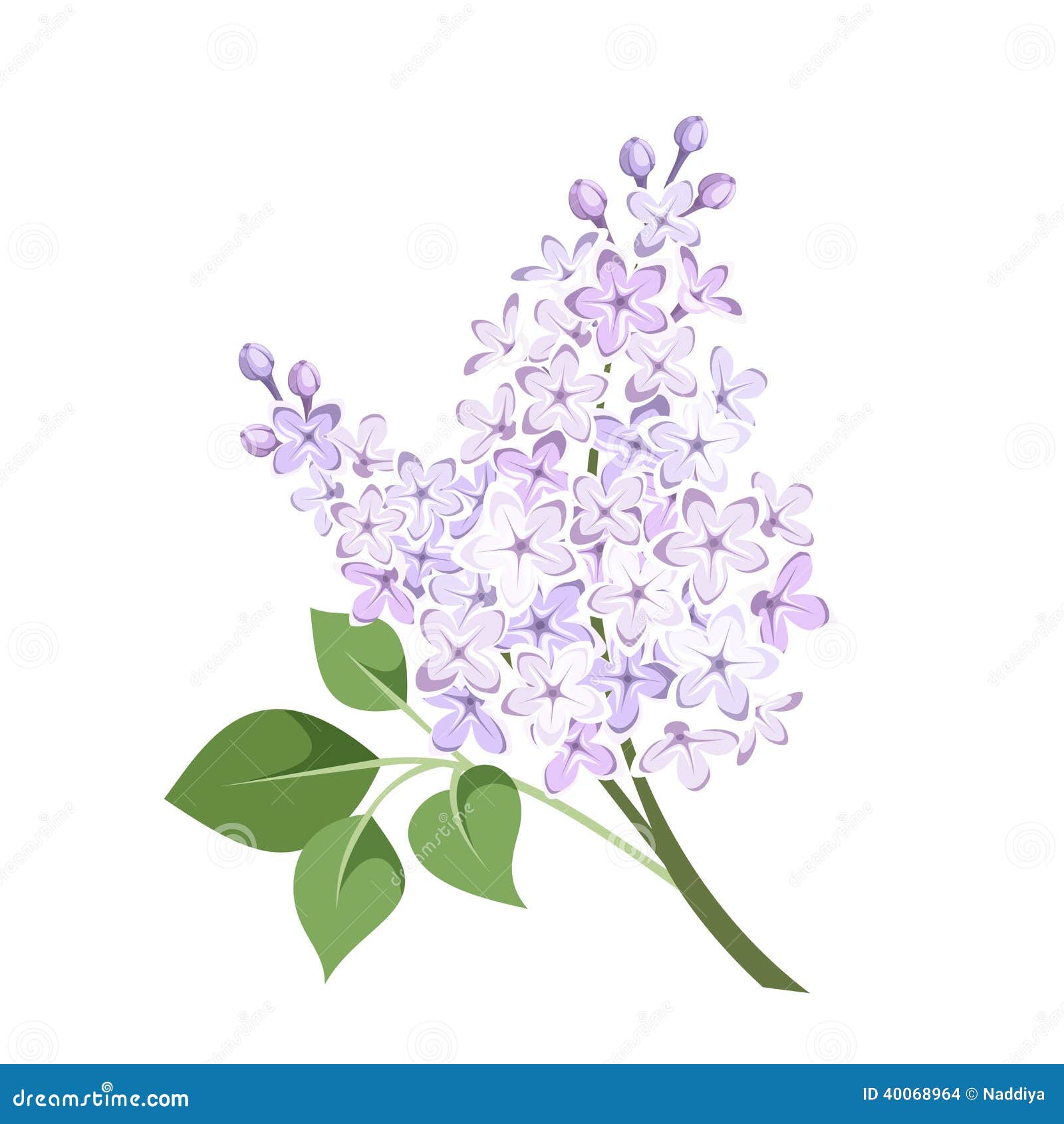 clipart lilac flowers - photo #35