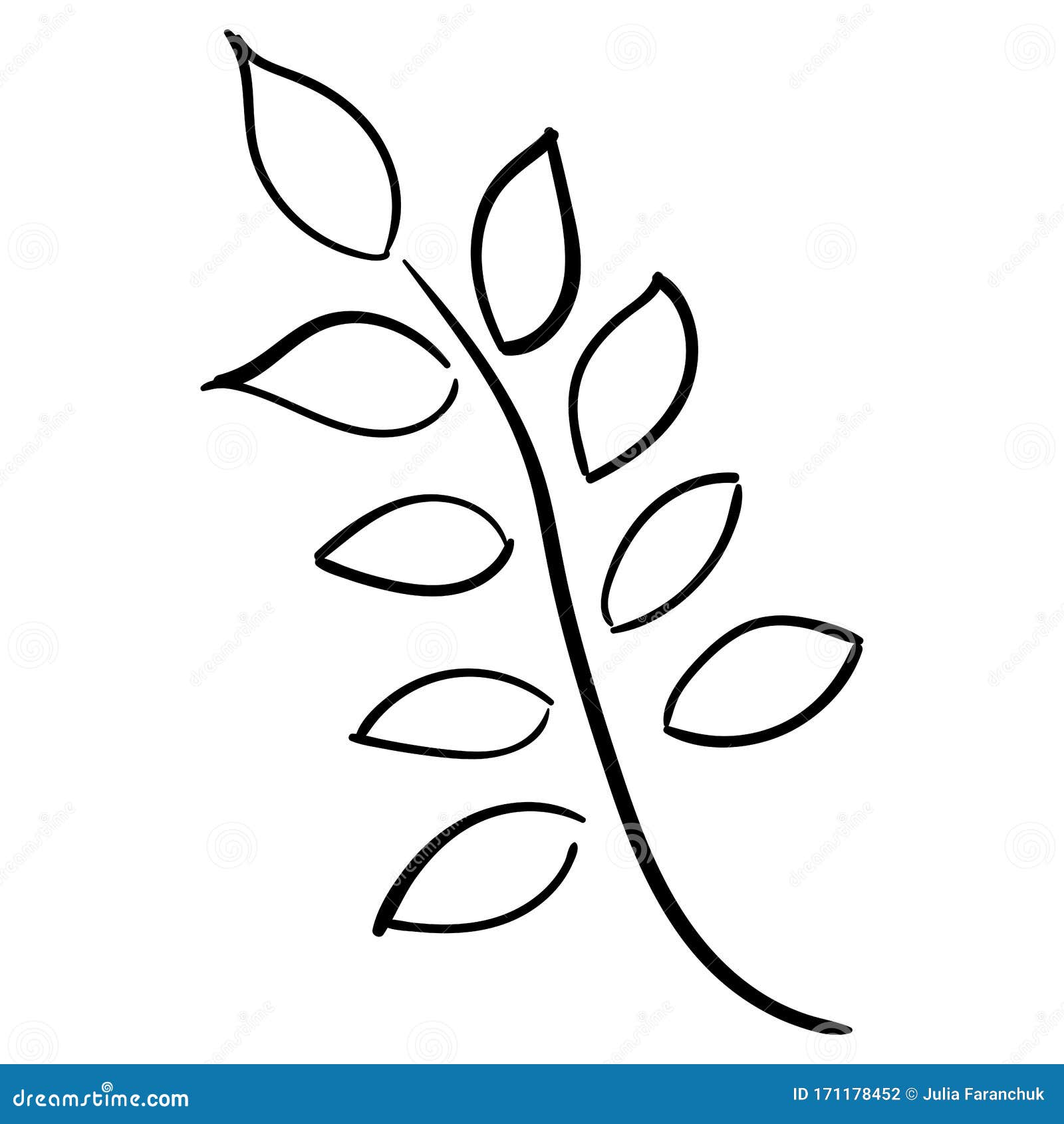 Branch of a Plant with Leaves. Vector Drawing in Sketch Style Stock ...