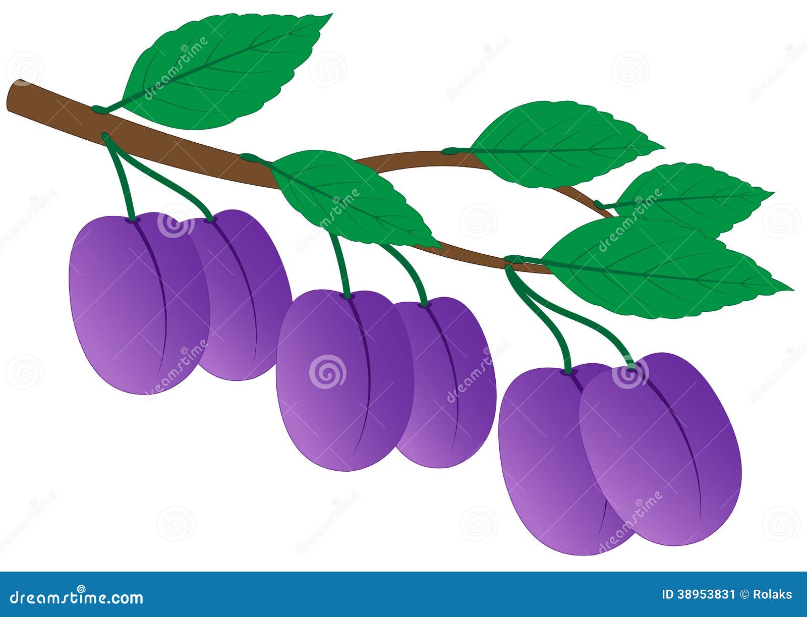 Branch of ripe plums stock vector. Illustration of fall 38953831