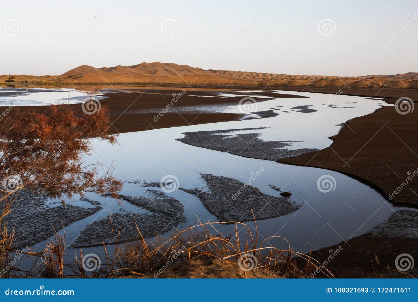 The Branch Of The River In The Desert Stock Image Image Of Vast Shortage