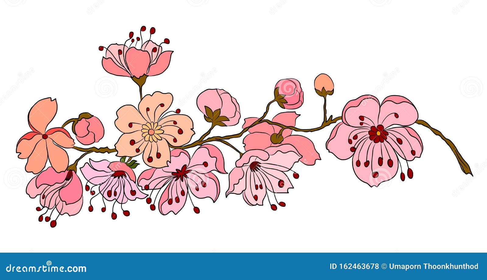 Branch Of Sakura Flower Vector For Tattoo Style On Isolated White