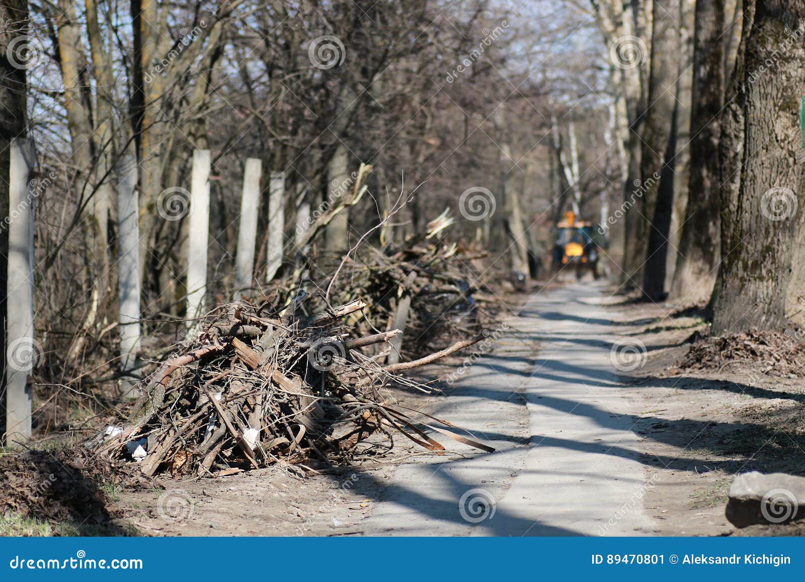 Branch trash in the park stock image. Image of broken 89470801