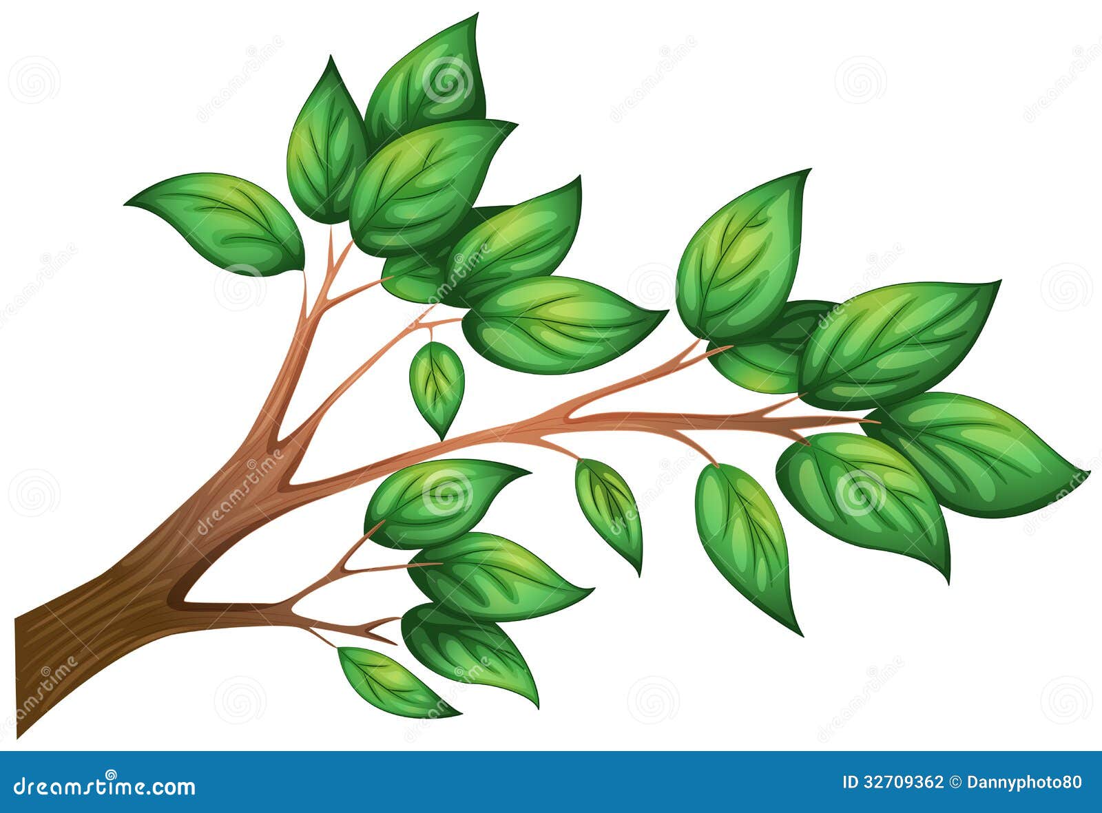 Illustration of a branch of a tree with leaves on a white background.