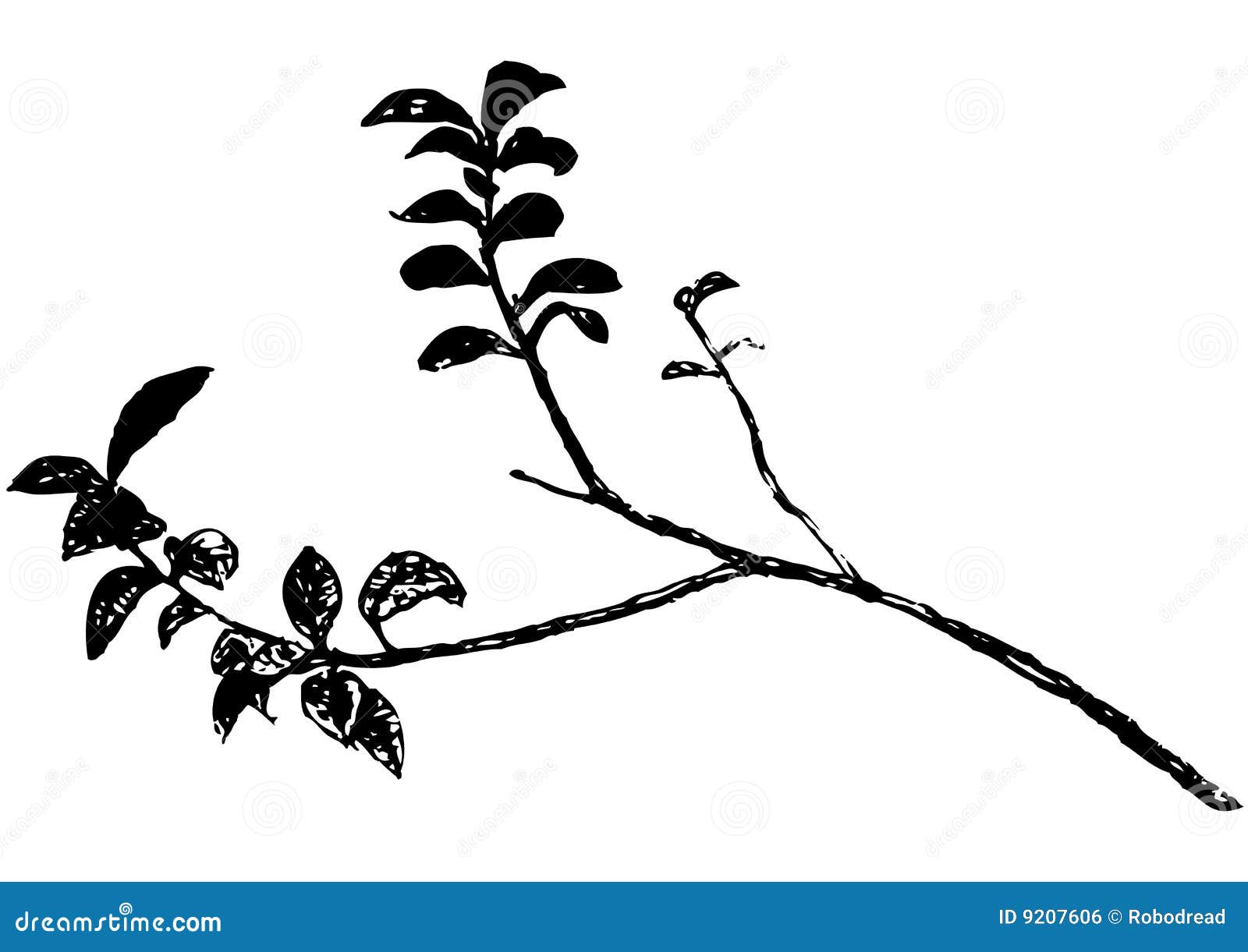 Branch (vector) Royalty Free Stock Image - Image: 9207606