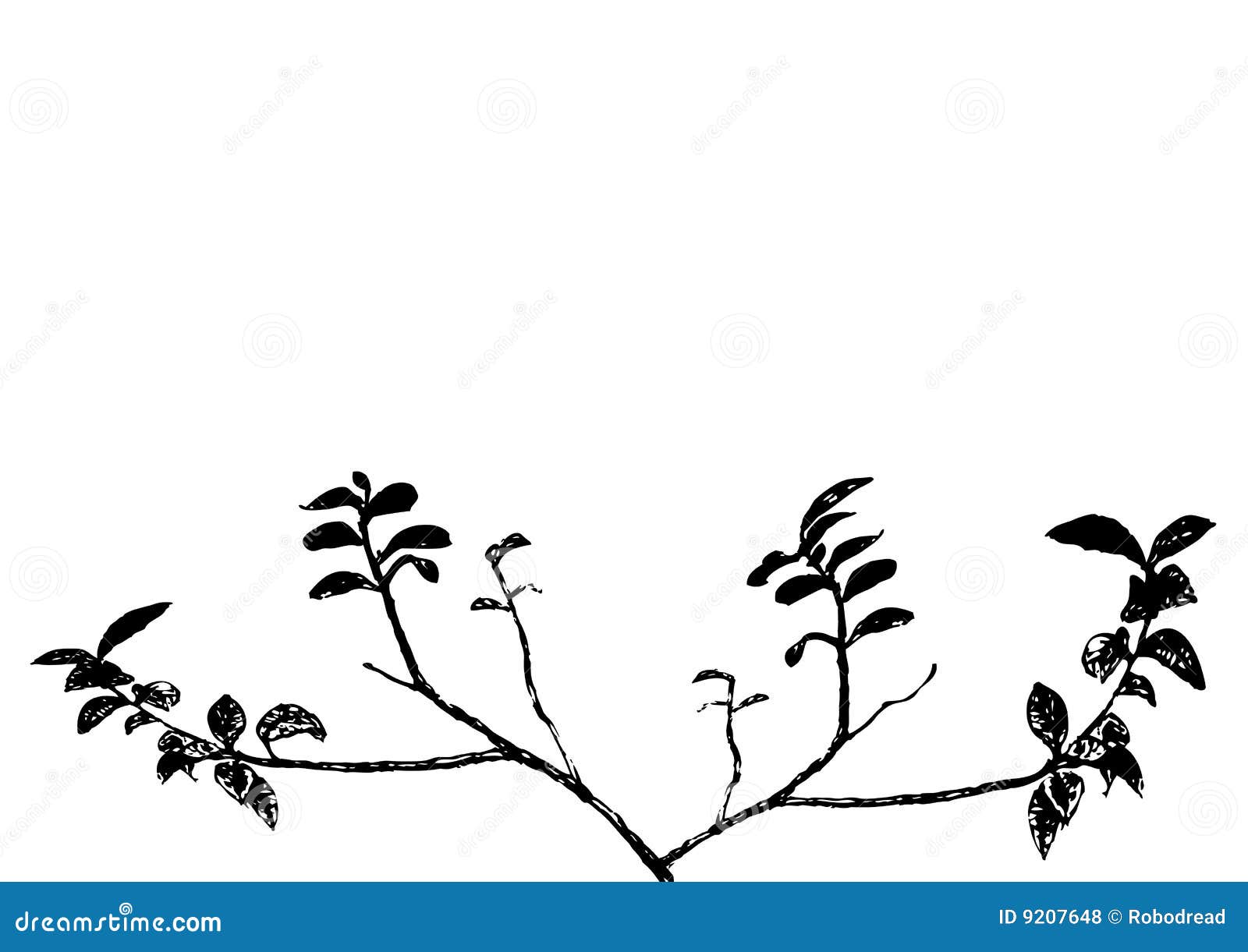 Branch (vector) stock vector. Illustration of black, framing - 9207648