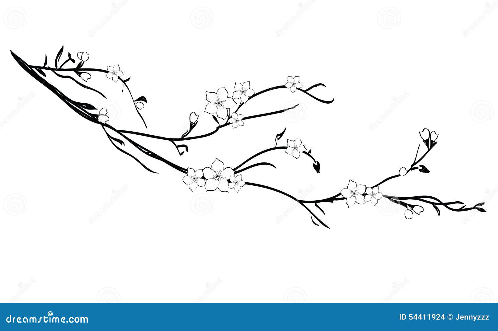 Branche De Cerisier Dans La Fleur Illustration De Vecteur