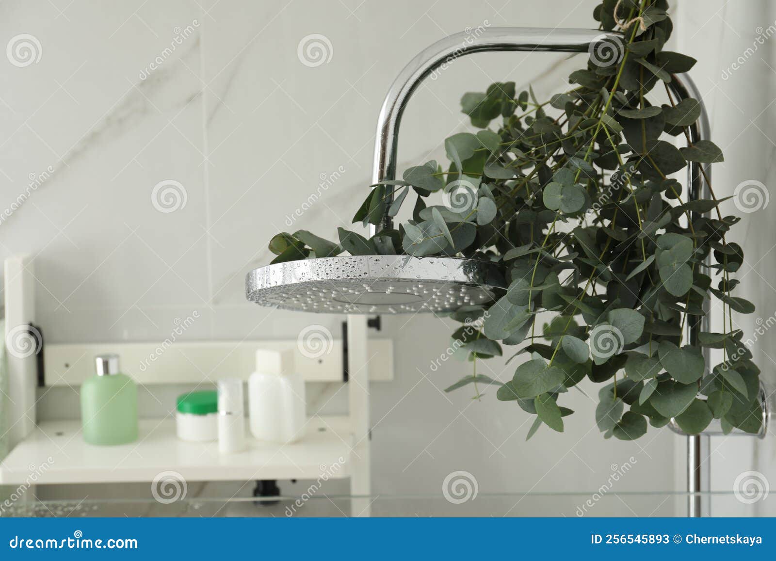 Branches with Green Eucalyptus Leaves in Shower Stock Image Image of