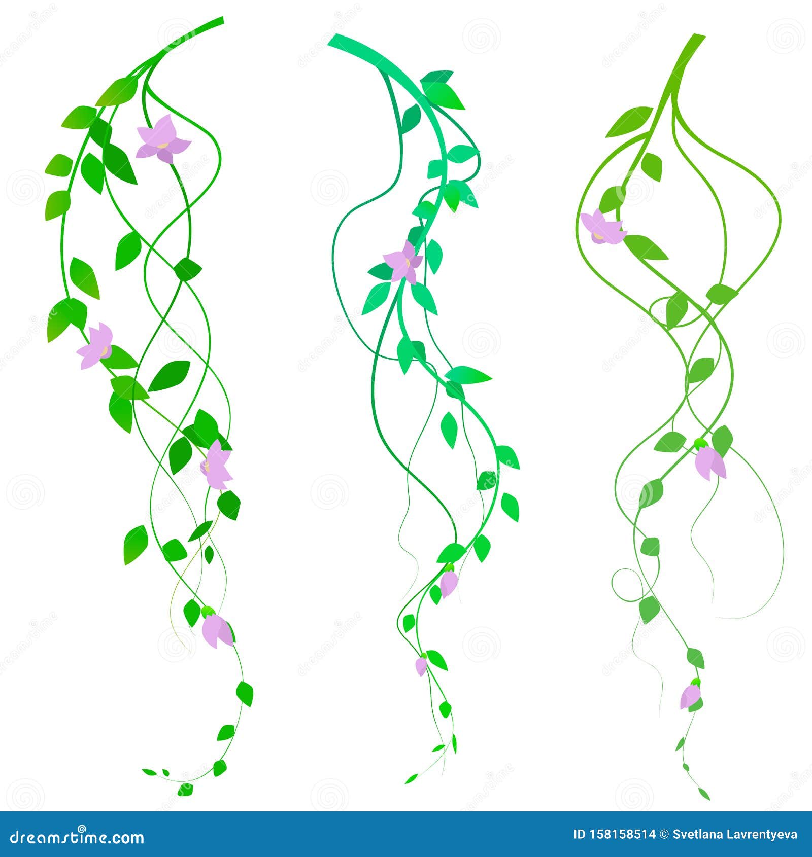 Branches with Pink Flowers, Vector Floral Elements, Creepers with Flowers Stock Vector