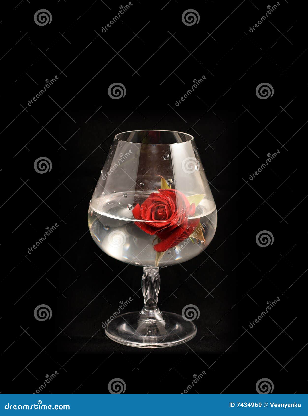 Brandy glass and red rose stock image. Image of isolated 7434969