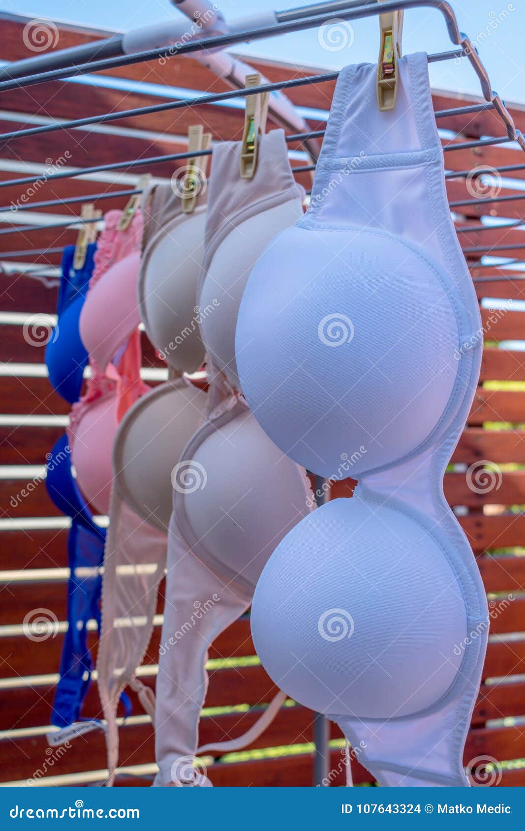 Bras are drying stock photo. Image of garment, feminine 107643324