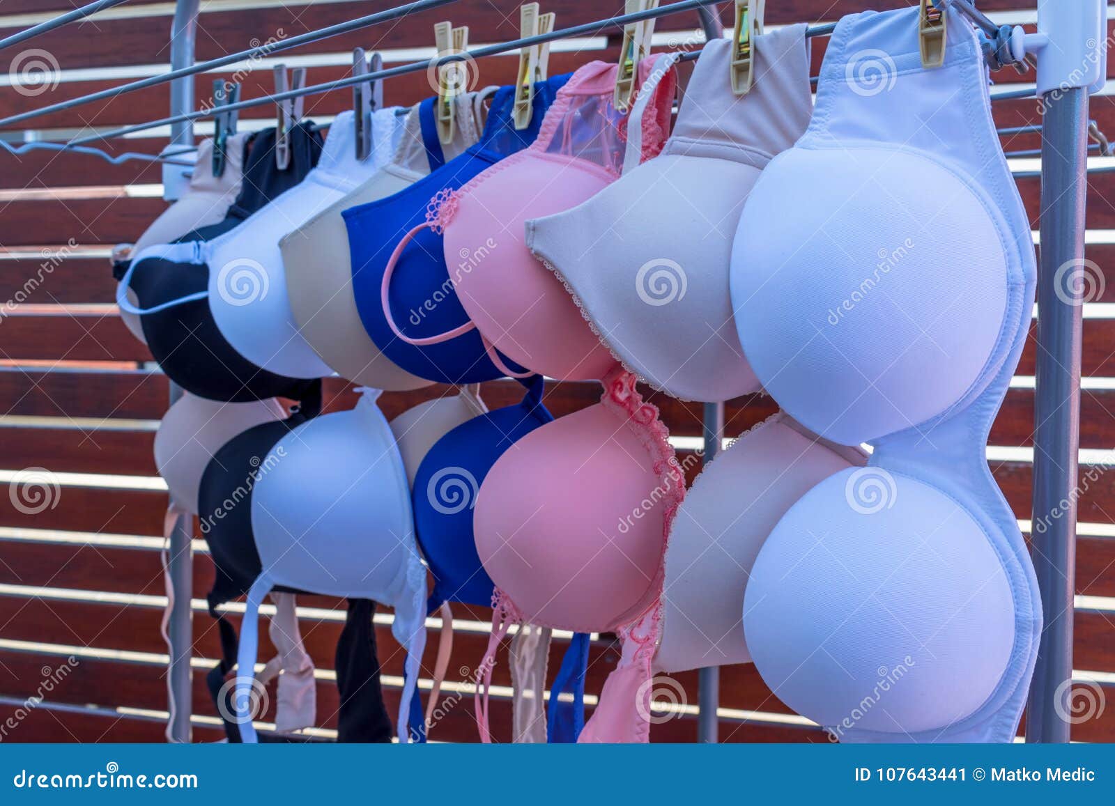 Bras are drying 2 stock image. Image of woman, laundry 107643441