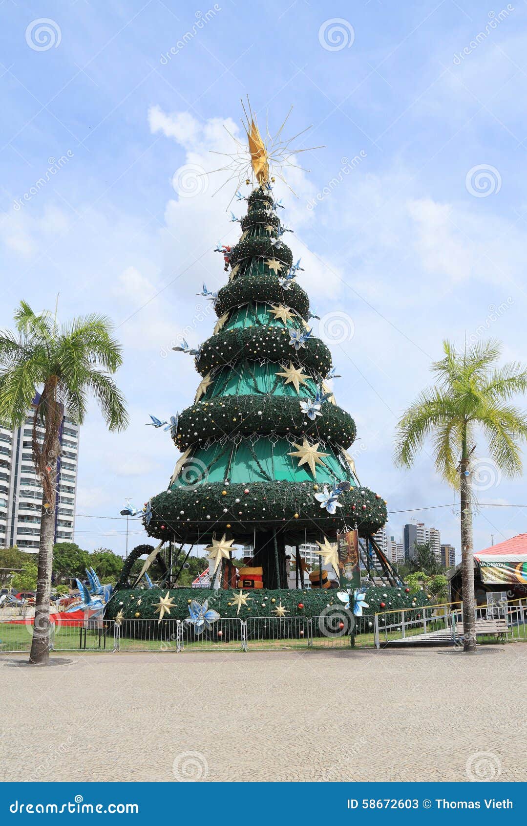Brasil, Manaus/Ponta Negra: Árvore De Natal Foto de Stock Editorial -  Imagem de palma, palmas: 58672603