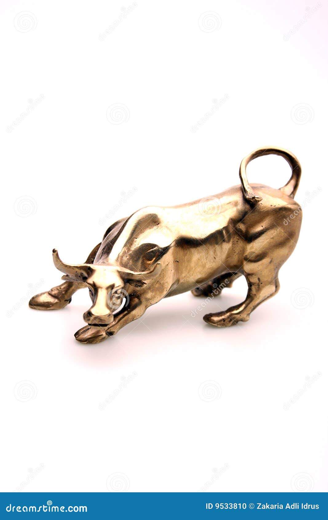 Brass bull stock photo. Image of bull, money, angry, farms 9533810